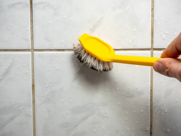 Best Same-Day Mold Removal  in Baldwyn, MS