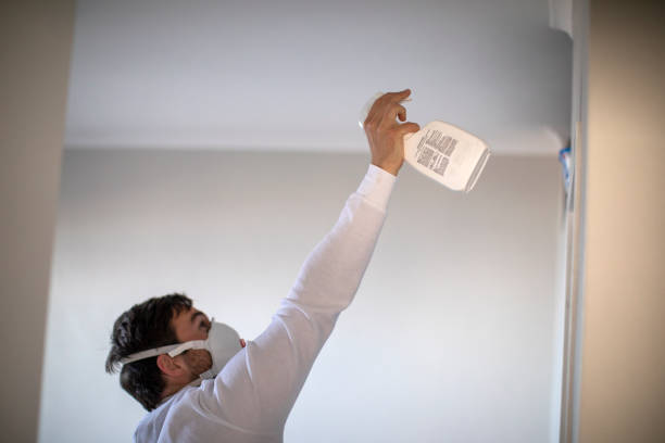Best Residential Mold Removal  in Baldwyn, MS