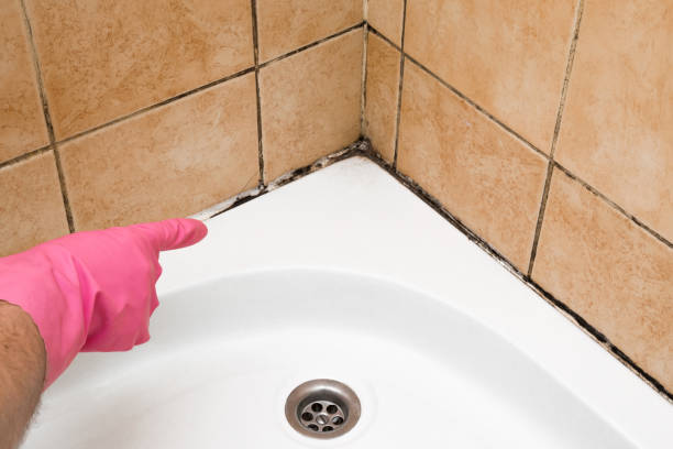 Best Emergency Mold Removal  in Baldwyn, MS